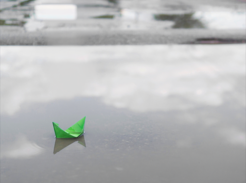 Best waterproofing for flat roofs — ponding water on a commercial roof surface in South Africa